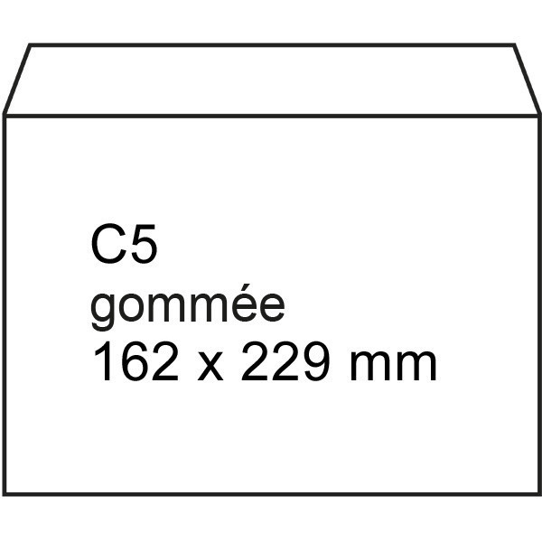 123encre enveloppe pochette 162 x 229 mm - C5 gommé (1000 pièces) - blanc 302766 - 3
