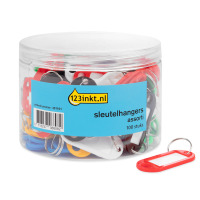 123encre porte-clés assortiment (100 pièces) 301101