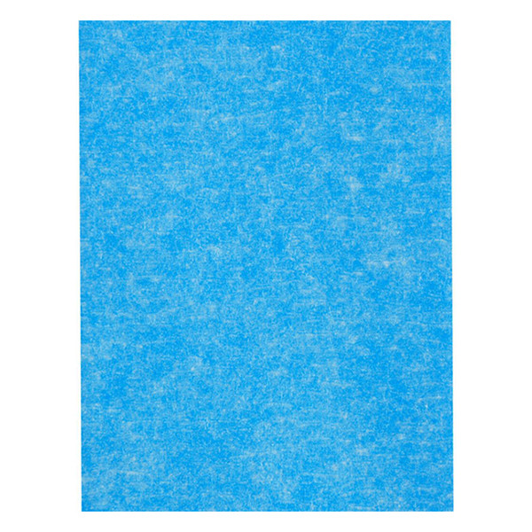 ScotchBlue ruban de masquage multi-surfaces 48 mm x 41 m 280050 - 9