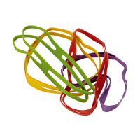 Alco élastiques en croix assortiment 220 x 25 mm (500 grammes) 425267