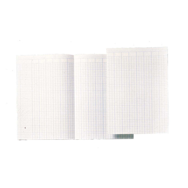 Atlanta papier comptable A4 avec 14 colonnes (100 feuilles) 203054 - 1