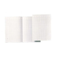 Atlanta papier comptable A4 avec 14 colonnes (100 feuilles) 203054