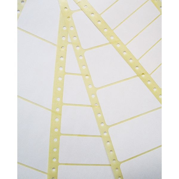 Avery Zweckform T3014-500 étiquettes matricielles en continu 102 x 36,1 mm (4000 pièces) 212410 - 1