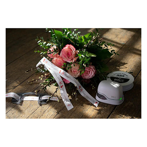 COLOP e-mark guide de ruban 229165 - 4