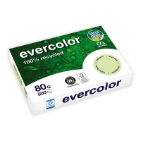 Clairefontaine Evercolor gerecycled gekleurd papier lichtgroen 80 grams A4 (500 vel) 250386