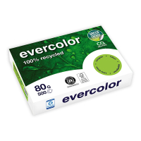 Clairefontaine Evercolor gerecycled gekleurd papier lime-groen 80 grams A4 (500 vel) 250392
