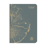 Clairefontaine Forever Premium carnet de notes A5 ligné 48 feuilles - gris 250452