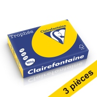 Offre : 3x Clairefontaine papier couleur 160 g/m² A4 (250 feuilles) - bouton d'or 340035