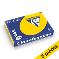 Offre : 5x Clairefontaine papier couleur 120 g/m² A4 (250 feuilles) - bouton d'or 250419