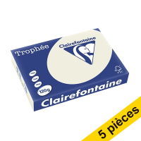 Offre : 5x Clairefontaine papier couleur 120 g/m² A4 (250 feuilles) - gris perle 250480