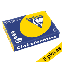 Offre : 5x Clairefontaine papier couleur 80 g/m² A4 (500 feuilles) - bouton d'or 250405
