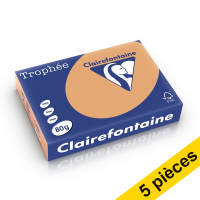 Offre : 5x Clairefontaine papier couleur 80 g/m² A4 (500 feuilles) - caramel 250473