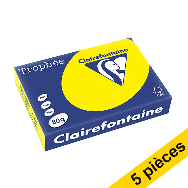 Offre : 5x Clairefontaine papier couleur 80 g/m² A4 (500 feuilles) - jaune soleil 250403 - 1