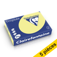 Offre : 5x Clairefontaine papier couleur 80 g/m² A4 (500 feuilles) - jonquille 250413