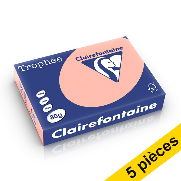Offre : 5x Clairefontaine papier couleur 80 g/m² A4 (500 feuilles) - pêche 250475 - 1