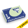 Offre : 5x Clairefontaine papier couleur 80 g/m² A4 (500 feuilles) - vert golf 250411 - 1