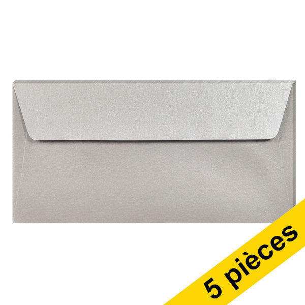 Clairefontaine enveloppes de couleur EA5/6 120 g/m² (5 pièces) - argent 250325 - 1