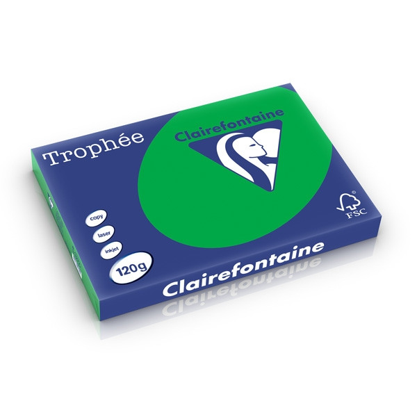 Clairefontaine papier couleur 120 g/m² A3 (250 feuilles) - vert billard 250230 - 1