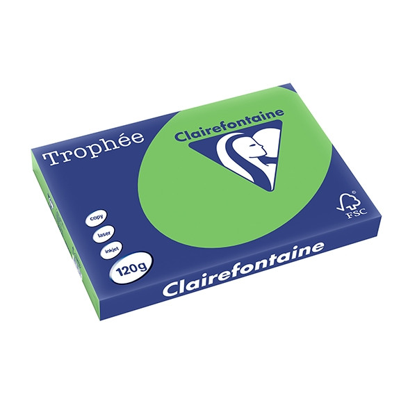 Clairefontaine papier couleur 120 g/m² A3 (250 feuilles) - vert menthe 250141 - 1