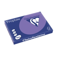 Clairefontaine papier couleur 120 g/m² A3 (250 feuilles) - violine 250138