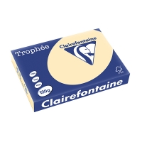Clairefontaine papier couleur 120 g/m² A4 (250 feuilles) - chamois 250072