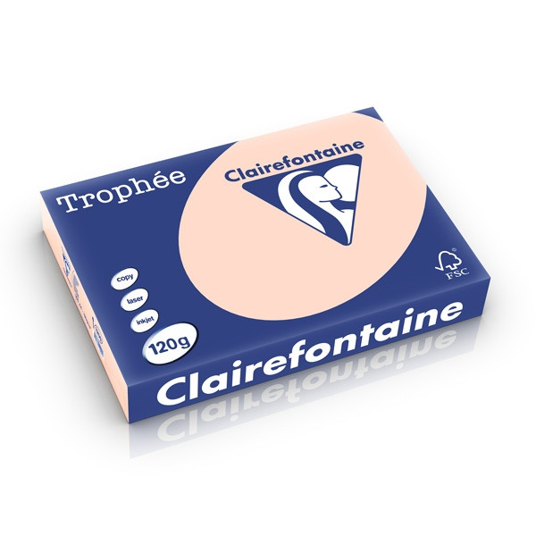 Clairefontaine papier couleur 120 g/m² A4 (250 feuilles) - saumon 250201 - 1