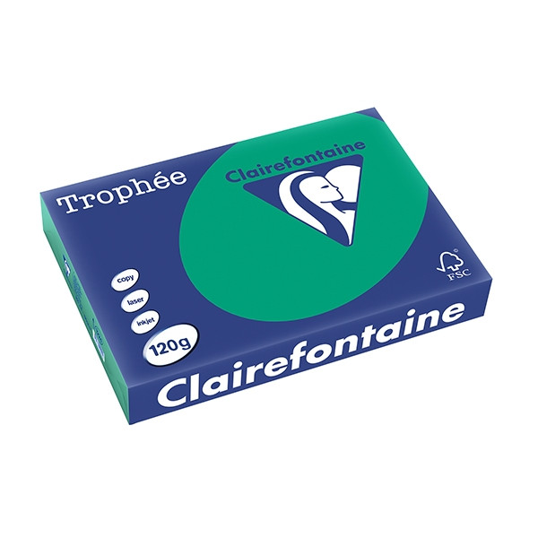 Clairefontaine papier couleur 120 g/m² A4 (250 feuilles) - vert sapin 250086 - 1