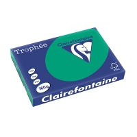 Clairefontaine papier couleur 160 g/m² A3 (250 feuilles) - vert sapin 250160