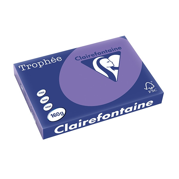 Clairefontaine papier couleur 160 g/m² A3 (250 feuilles) - violine 250156 - 1