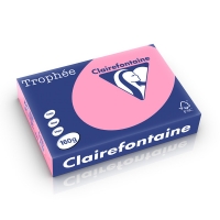Clairefontaine papier couleur 160 g/m² A4 (250 feuilles) - églantine 250245
