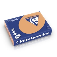 Clairefontaine papier couleur 160 g/m² A4 (250 feuilles) - caramel 250235