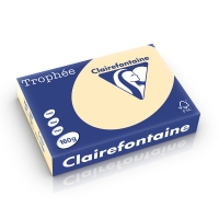 Clairefontaine papier couleur 160 g/m² A4 (250 feuilles) - chamois 250234