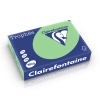 Clairefontaine papier couleur 160 g/m² A4 (250 feuilles) - vert nature 250250 - 1