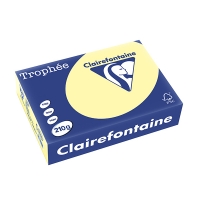 Clairefontaine papier couleur 210 g/m² A4 (250 feuilles) - canari 250091