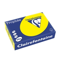 Clairefontaine papier couleur 210 g/m² A4 (250 feuilles) - jaune soleil 250102