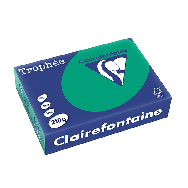 Clairefontaine papier couleur 210 g/m² A4 (250 feuilles) - vert sapin 250105 - 1