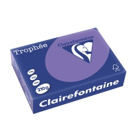 Clairefontaine papier couleur 210 g/m² A4 (250 feuilles) - violine 250100
