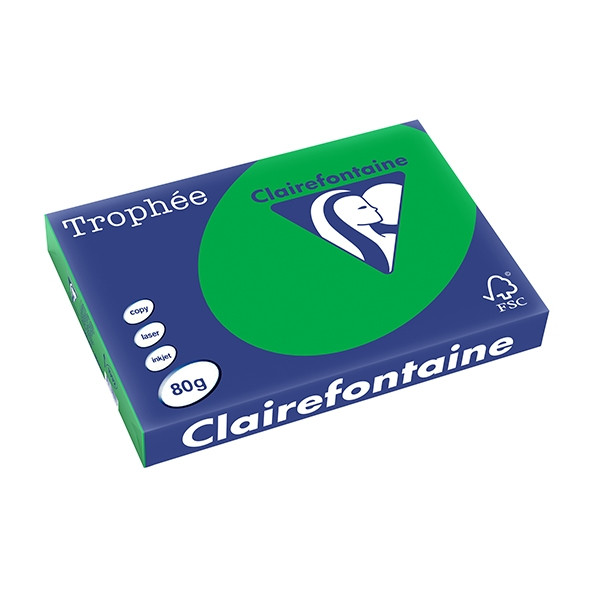 Clairefontaine papier couleur 80 g/m² A3 (500 feuilles) - vert billard 250123 - 1