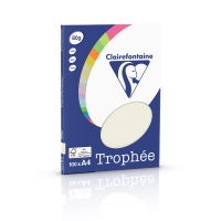 Clairefontaine papier couleur 80 g/m² A4 (100 feuilles) - gris perle 250034