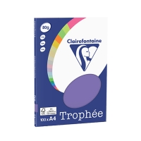 Clairefontaine papier couleur 80 g/m² A4 (100 feuilles) - violine 250043