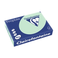 Clairefontaine papier couleur 80 g/m² A4 (500 feuilles) - vert 250053