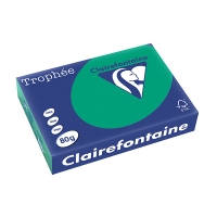 Clairefontaine papier couleur 80 g/m² A4 (500 feuilles) - vert sapin 250062