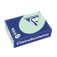 Clairefontaine papier couleur 80 g/m² A5 (500 feuilles) - vert 250037