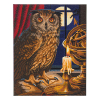 Crystal Art kit broderie diamant 40 x 50 cm - Hibou Astrologue 400957 - 1