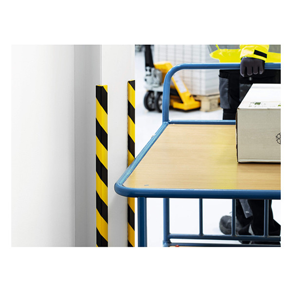 Durable profilé de protection pour angle E8 310264 - 5