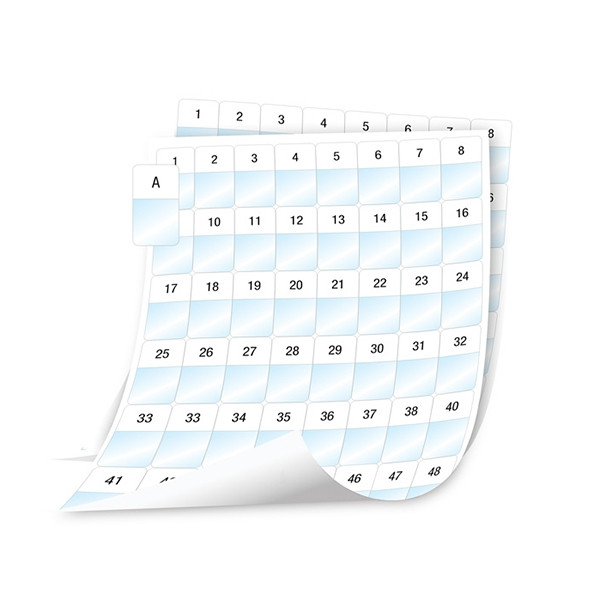 Dymo 1908553 XTL feuilles d'étiquettes plastifiées prédécoupées 24 x 42 mm (d'origine) 089110 - 1