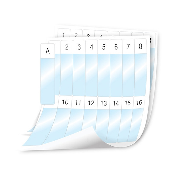 Dymo 1908554 XTL feuilles d'étiquettes plastifiées prédécoupées 24 x 103 mm (d'origine) 089112 - 1