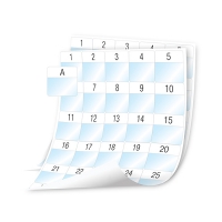 Dymo 1908556 XTL feuilles d'étiquettes plastifiées prédécoupées 41 x 42 mm (d'origine) 089116