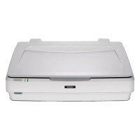 Epson Expression 13000XL A3 flatbedscanner 084494
