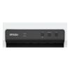 Epson PLQ-35 imprimante matricielle noir et blanc 831867 - 4